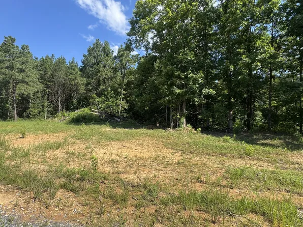 0 Rustic Pines Rd Lot 16, Dover, TN 37058