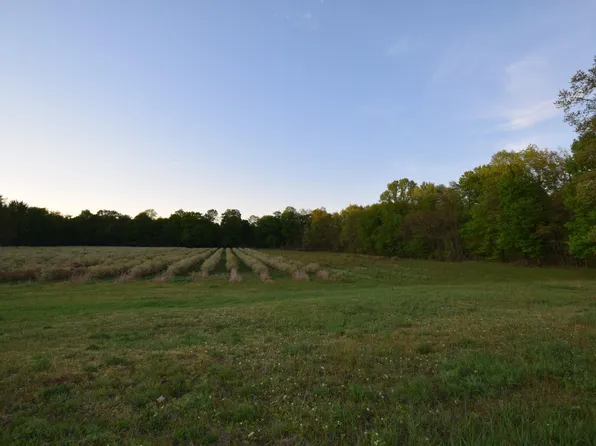 0 42nd Ave, Covert, MI 49043