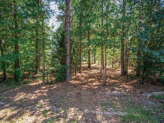 5th image of 23400 County Road 244 Tract 4