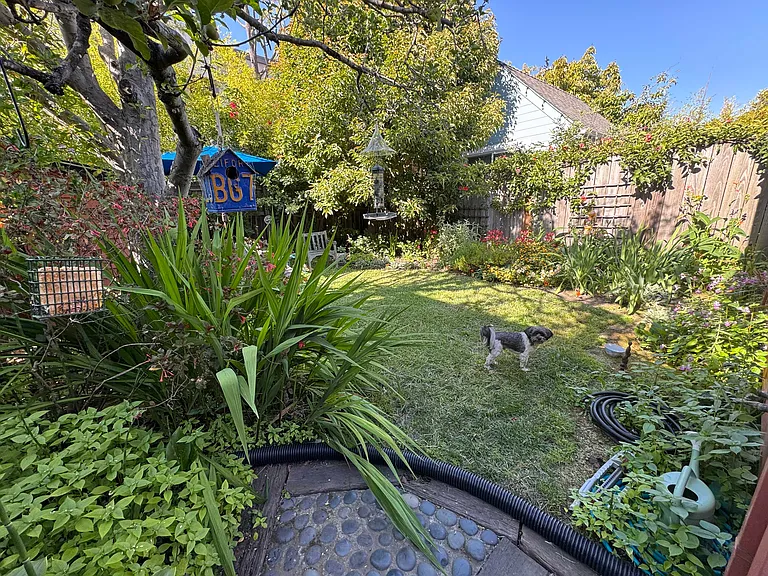 1155 Francisco St #A — Photo 26
