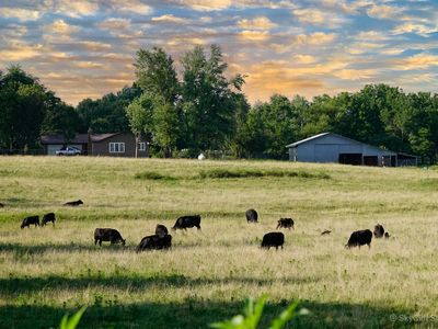 4748 S Highway 37, Monett, MO, 65708