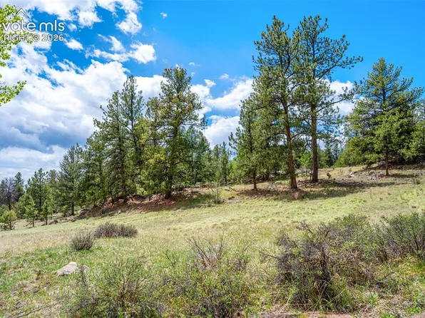 527 Plateau Dr, Guffey, CO 80820