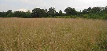 2nd image of 881 Strange Rd