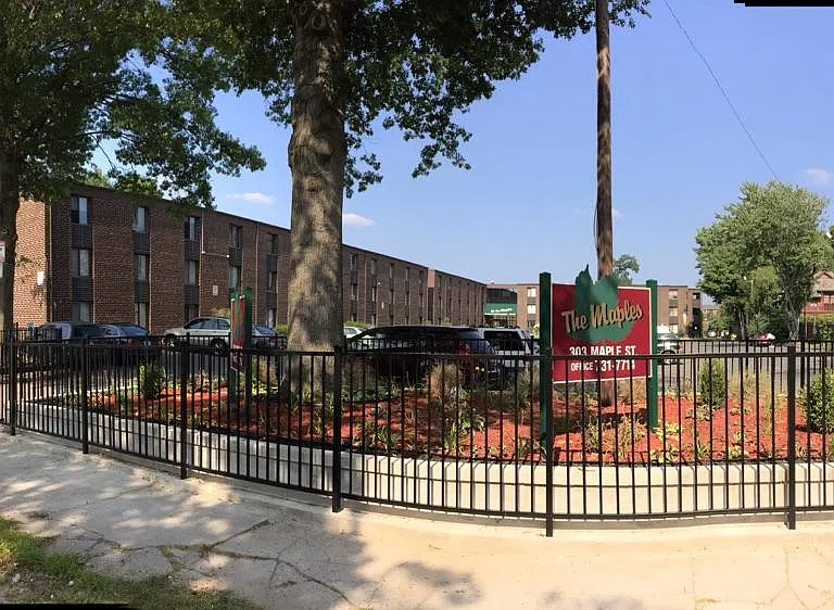 Maples — Photo 1