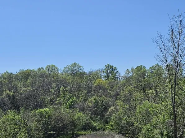 Lot 7 Crystal, Clever, MO 65631