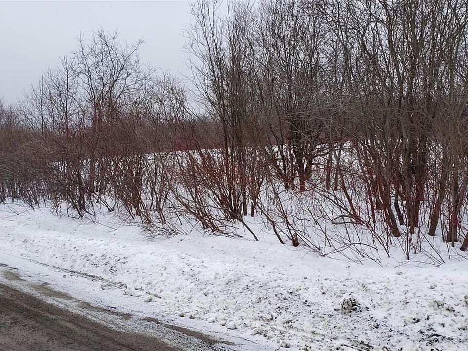 2nd image of 448 Honey Hill Rd