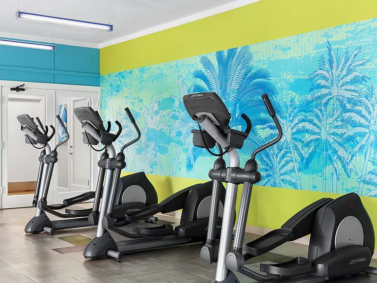 gym 3