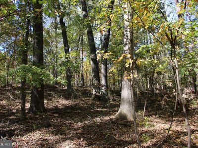 River View Pl, Shenandoah, VA, 22849