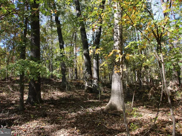 River View Pl, Shenandoah, VA 22849