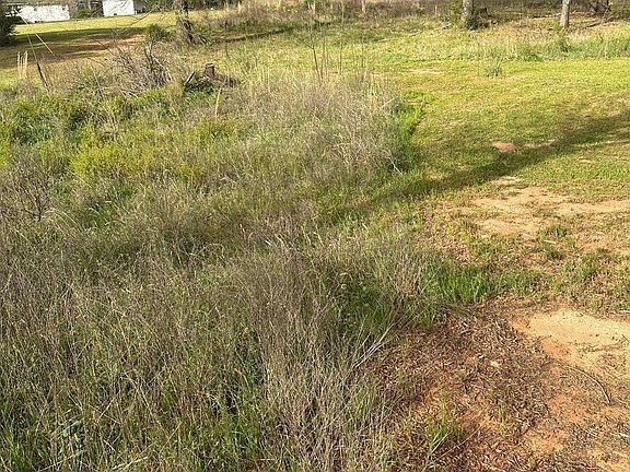 4th image of 1001 Laboon Rd