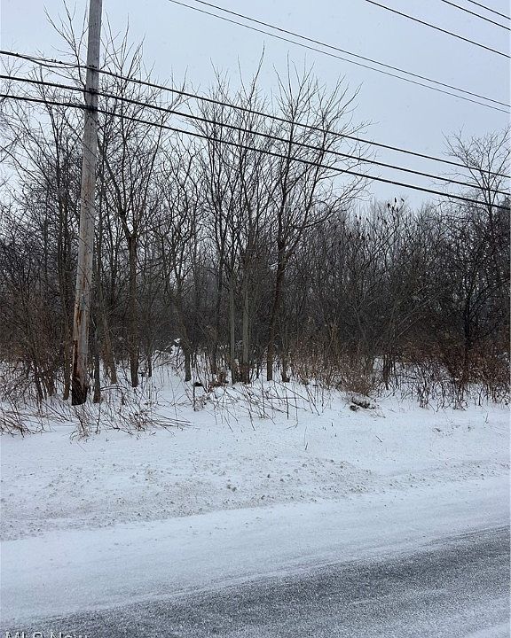 2nd image of V/l Leroy Center Rd