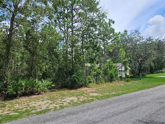 4th image of 17 Speceberry Cir