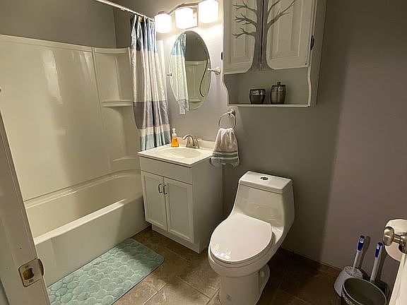 Lower Level Bathroom