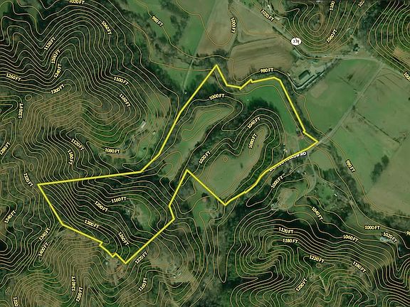 2nd image of 1309 Licklog Hollow Rd