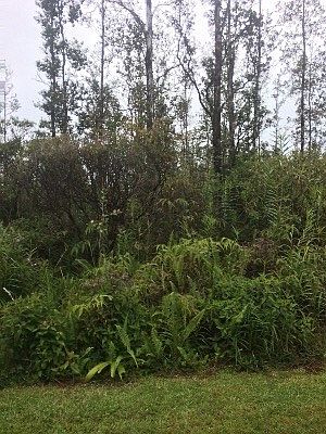 1st image of Palaai St Lot 116