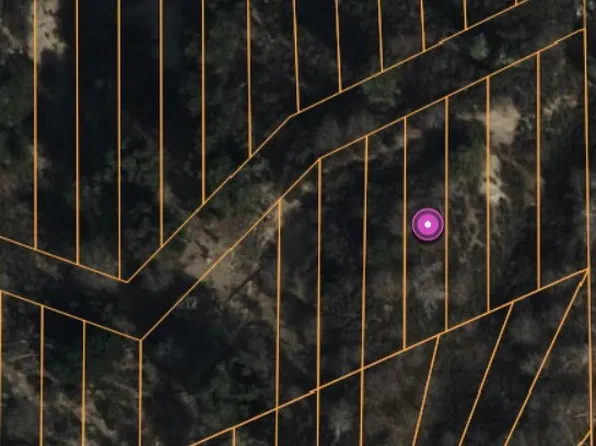 0 Lignum Vitae Dr, Cedar Glen, CA 92321