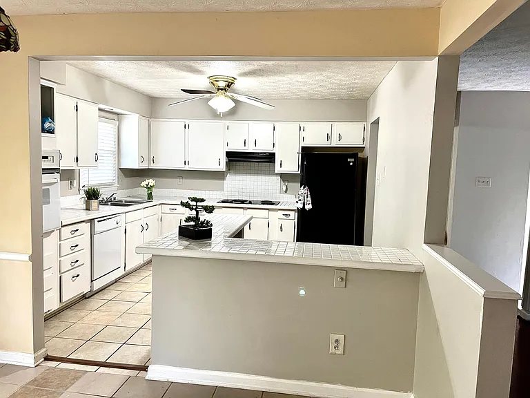 3056 Dale Hollow Dr — Photo 2