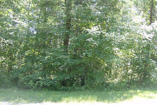 1st image of 2062 Iowa Dr
