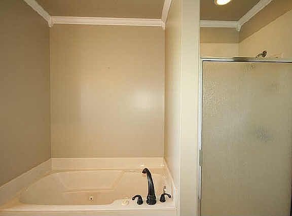 Master Bath, whirlpool tub