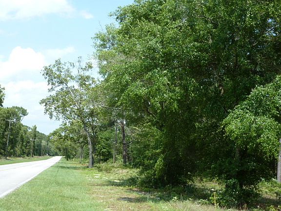 5th image of Road 219