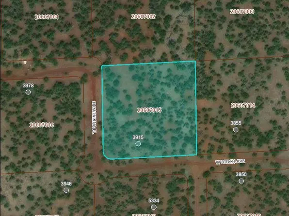 3915 W Birch Ave, Williams, AZ 86046