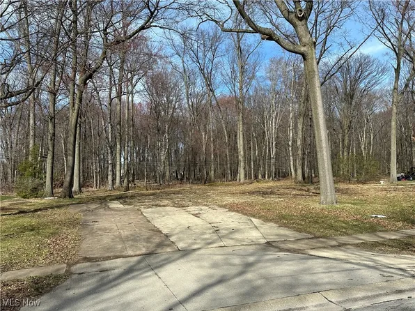 S/l 1 Redwood Blvd, Avon Lake, OH 44012