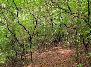 65 Unvquolad Ct #96R, Brevard, NC 28712