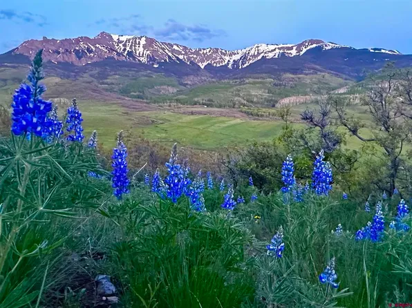 TBD 59T Road, Placerville, CO 81430