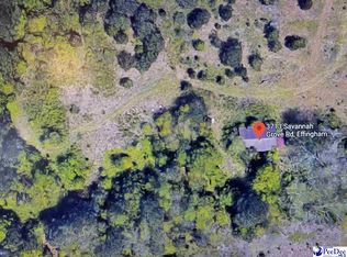 3713 Savannah Grove Rd, Effingham, SC 29541