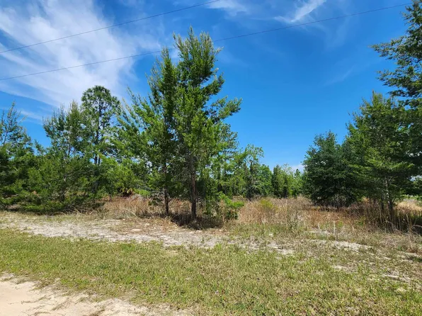 Orange Blossom Trl, Crescent City, FL 32112