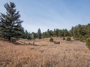 7325 Red Tail Way, Evergreen, CO 80439