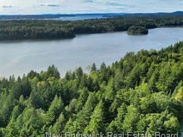 109 Bunker Hill Rd Lot 88, Campobello Island, NB E5E 1Z3