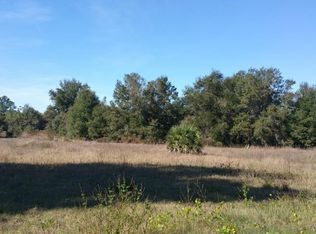 517 Howey Rd, Groveland, FL 34736