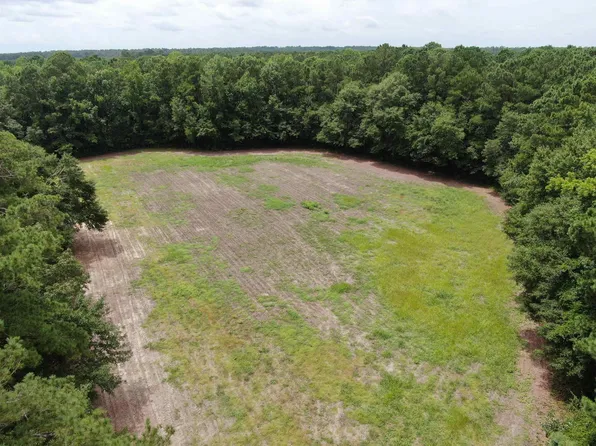 TBD Johnson  Rd., Galivants Ferry, SC 29544