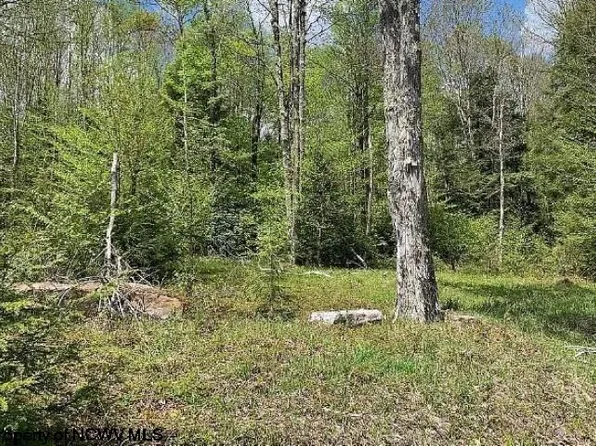 306 Tuscan Ridge Rd, Davis, WV 26260
