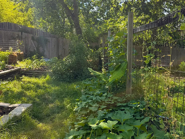 403 Post Road Dr — Photo 5