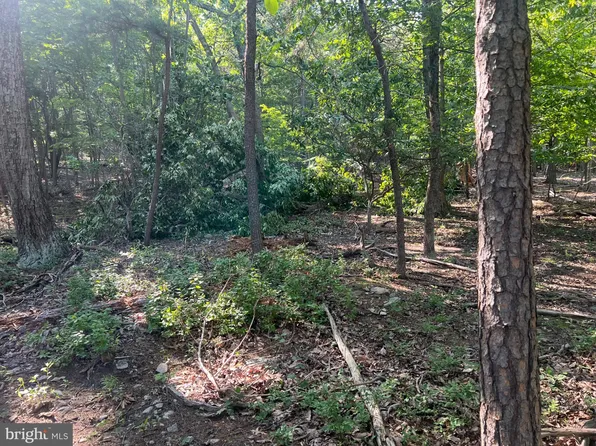 2608 Jackson Dr, Haymarket, VA 20169