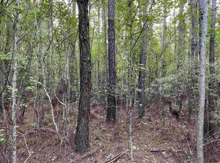 Tbt Hemingway Highway Rachael Rd, Hemingway, SC 29554