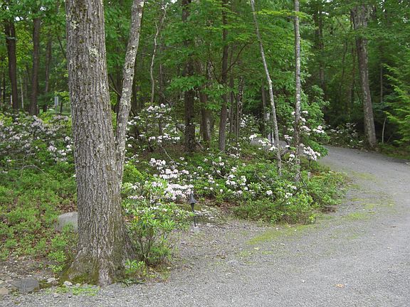 View from Main Entrance