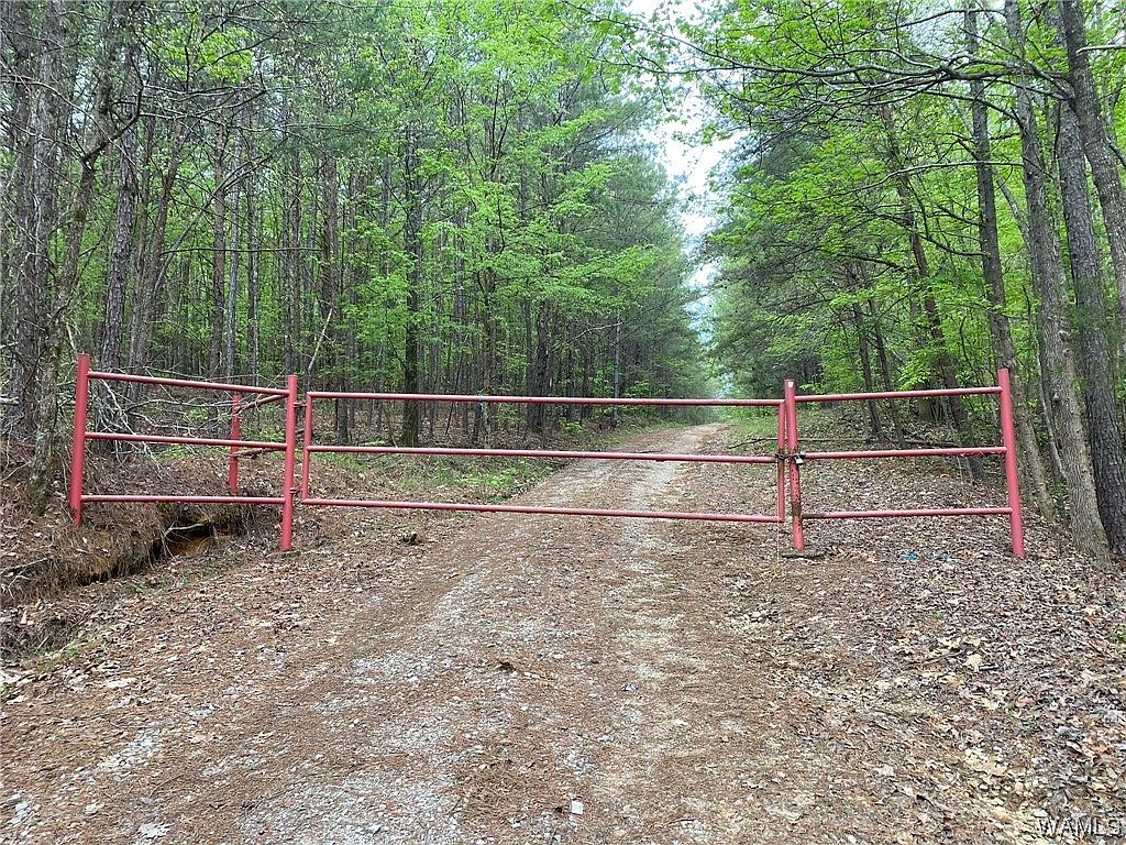 0 Lock 17 Rd, Adger, AL 35006 Zillow