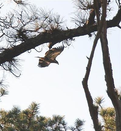 Beautiful wildlife to enjoy