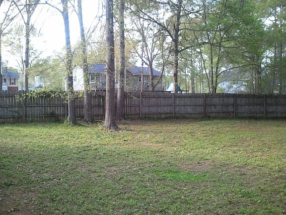 Still the backyard