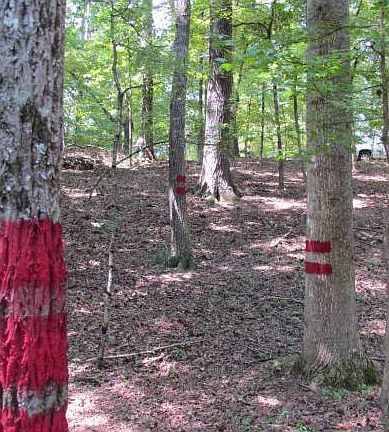 Trail begins at property