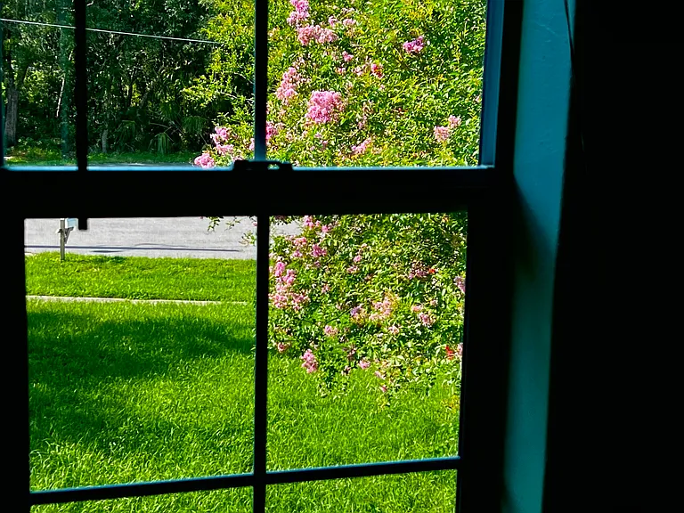 Beautiful view from bedroom window