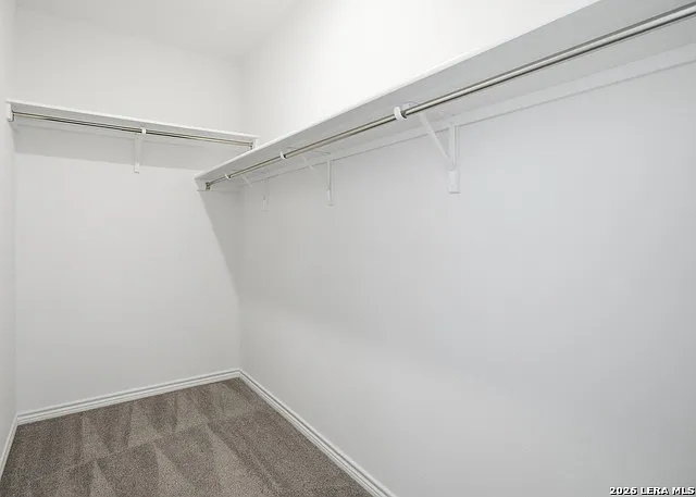 11634 Black Rose — Photo 17