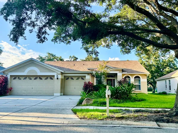 10236 Timberland Point Dr, Tampa, FL 33647
