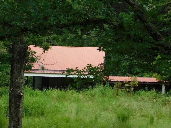 0 County Line Rd, Pelham, GA 31779