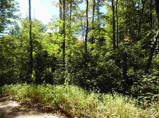 521 Manistee Rd, Cadillac, MI 49601