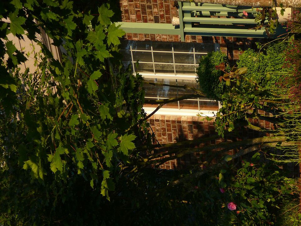 Front window of house