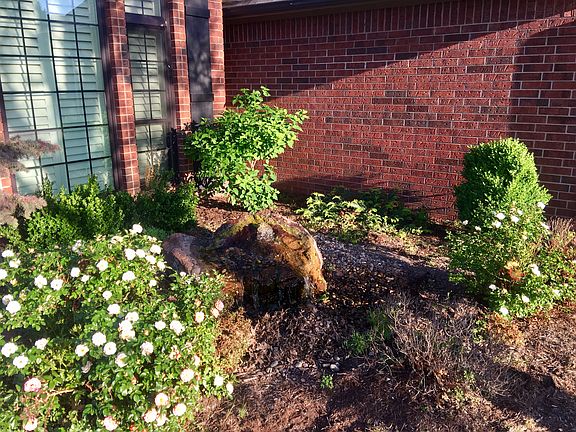 4th image of 1015 S Edgemoor Dr
